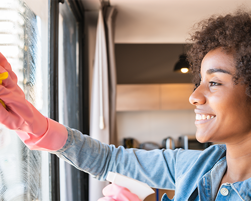 Professional housekeeping service